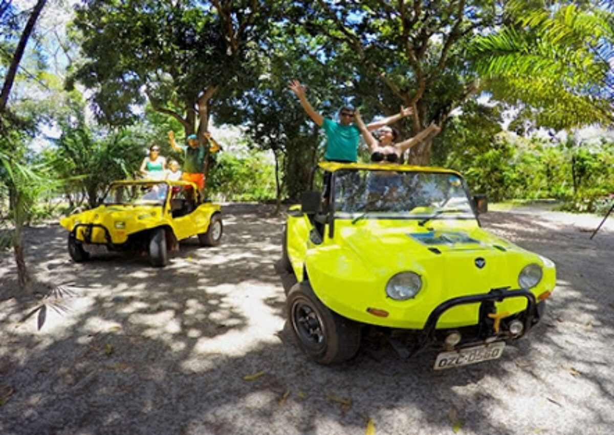 Passeio de Buggy – Floresta